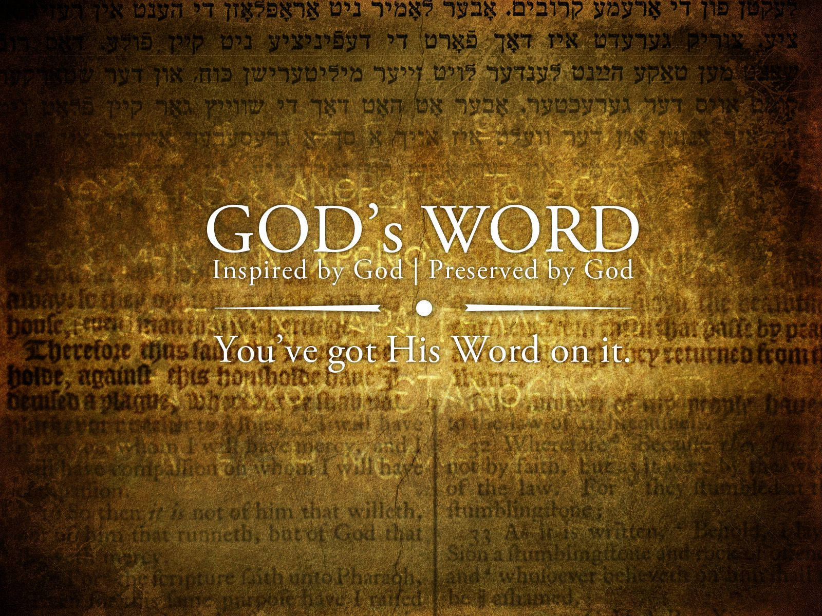 god-s-word-bible